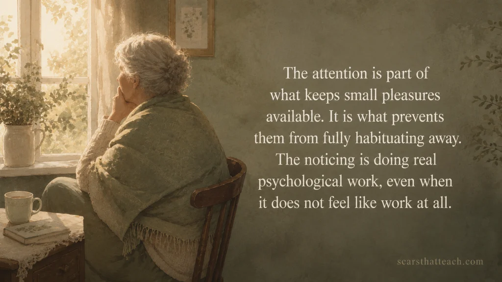 What The Attention Actually Does